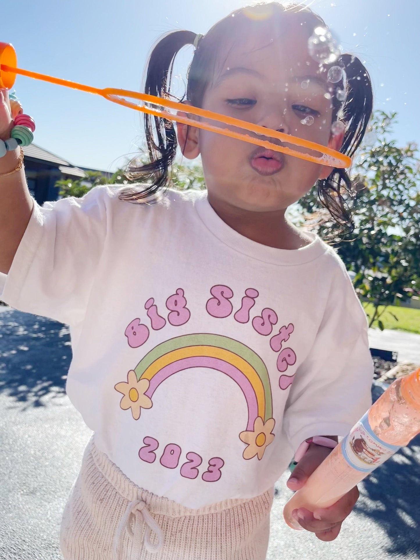 Big Sis Pregnancy Announcement T-Shirt