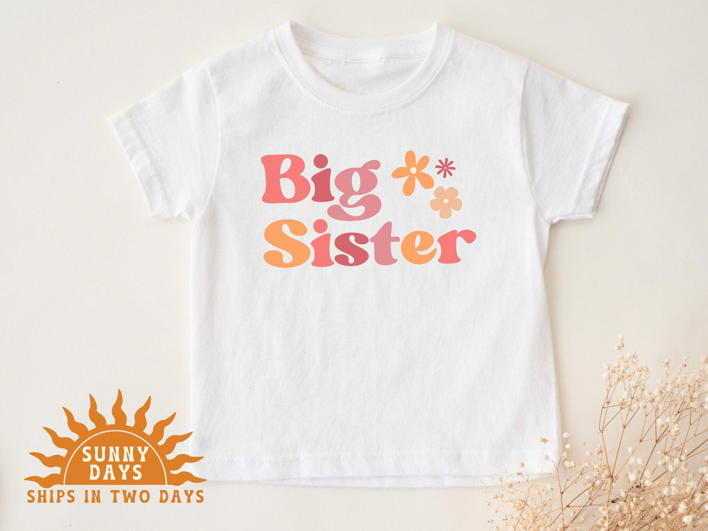 Promoted to Big Sister Pregnancy Announcement T-Shirt