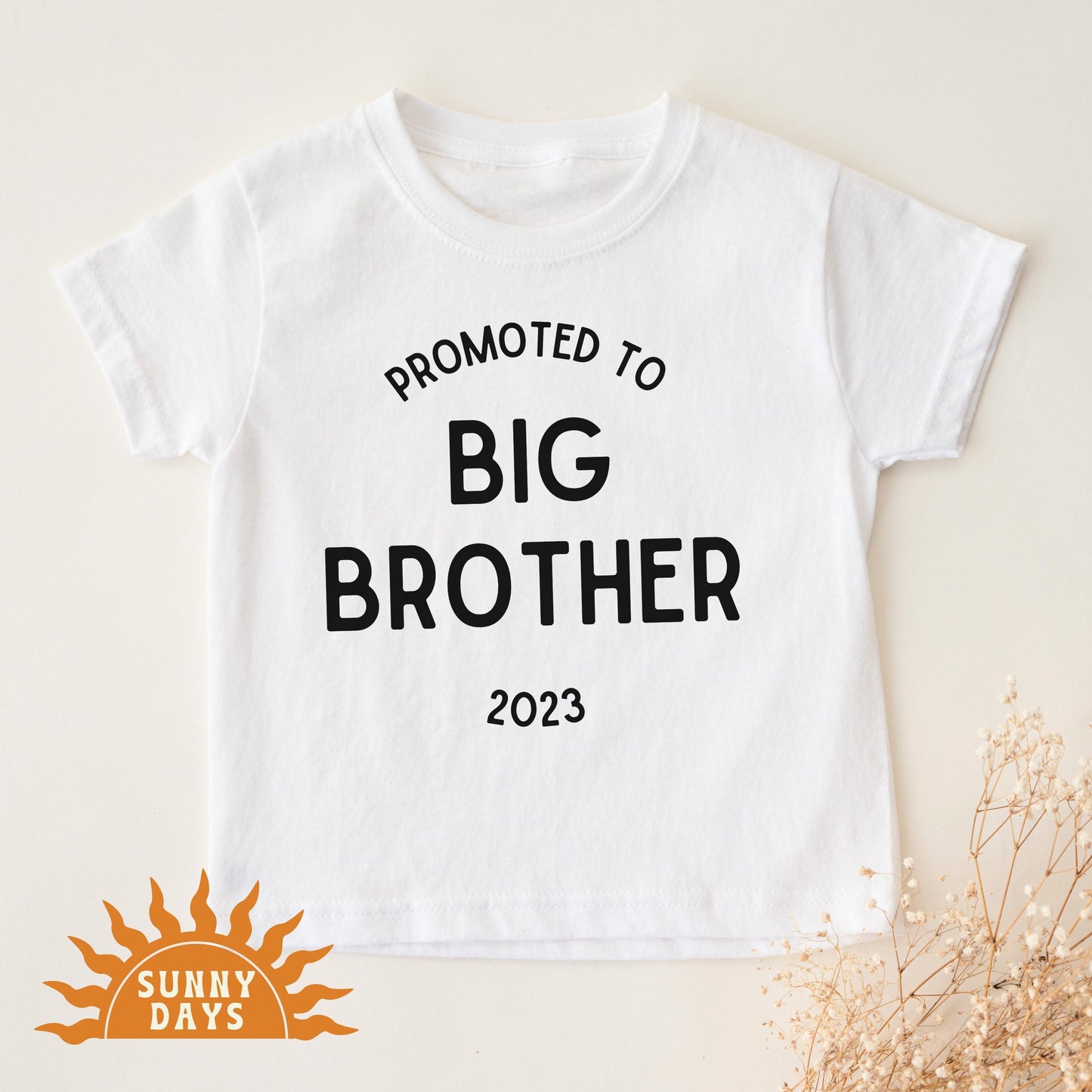 Big Brother Announcement T-Shirt